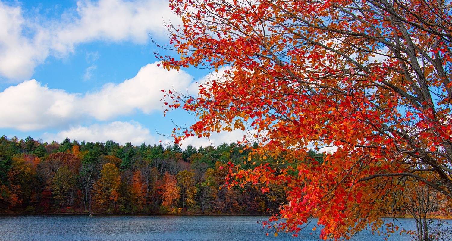 New England Tours for Seniors