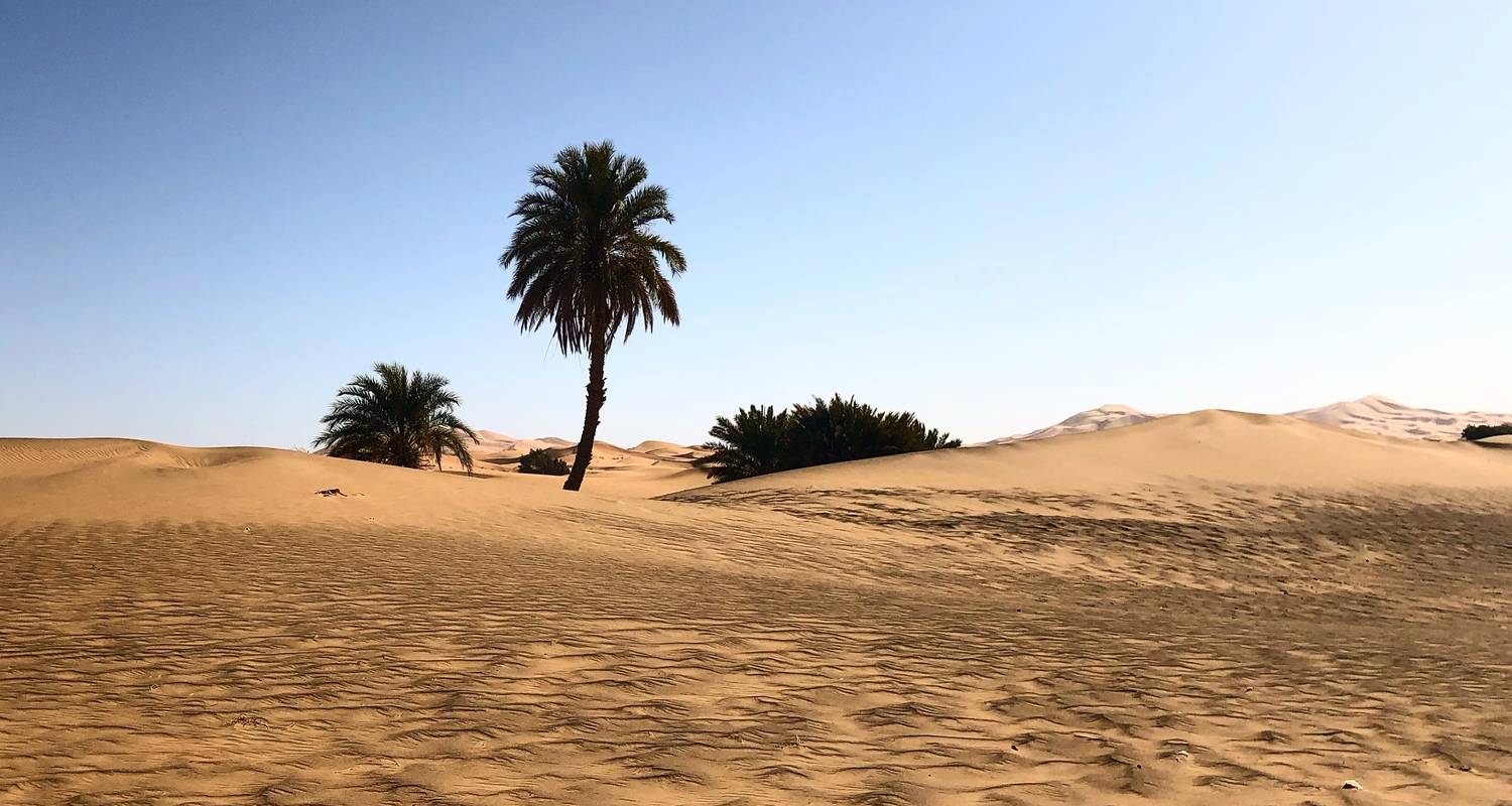 Circuits et voyages Randonnées en montagne – Désert du Sahara