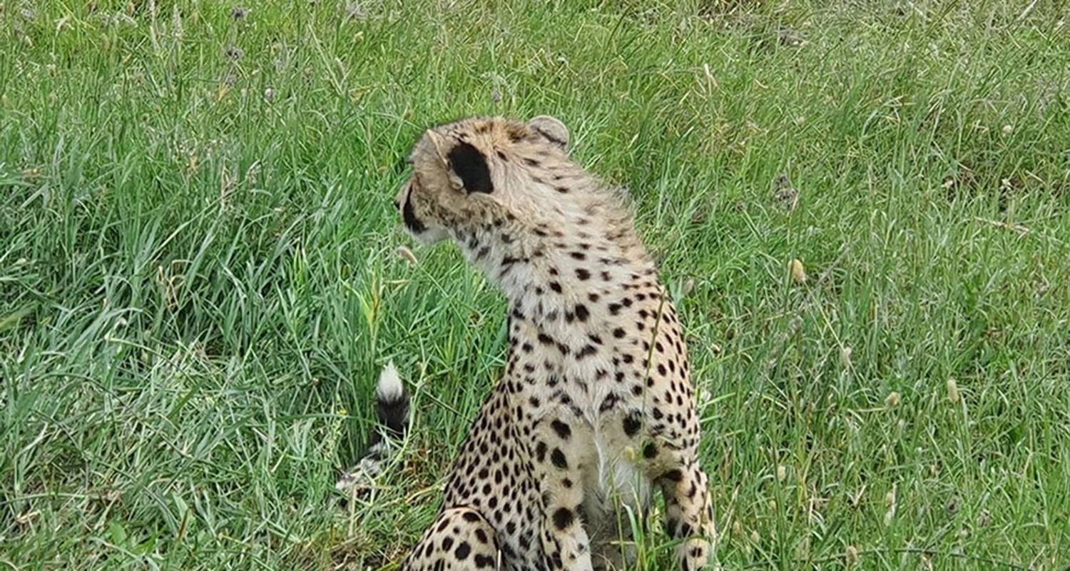 Safari animalier de 12 jours en Tanzanie - Hazzes Adventure