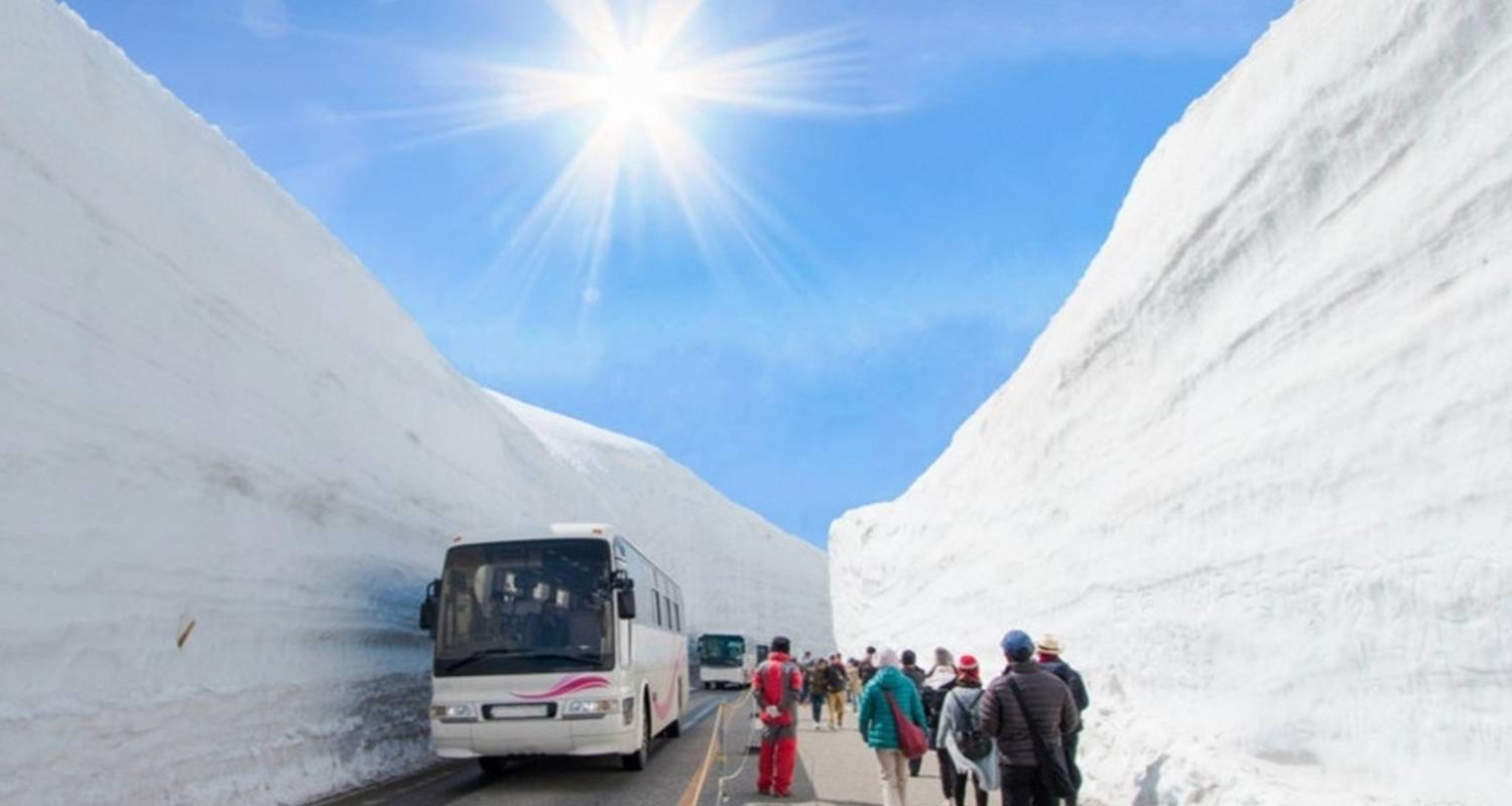 12 dagen Mt.Fuji&Tateyama Kurobe Spektakelreis (privégids & chauffeur） - UME Travel Co. Ltd