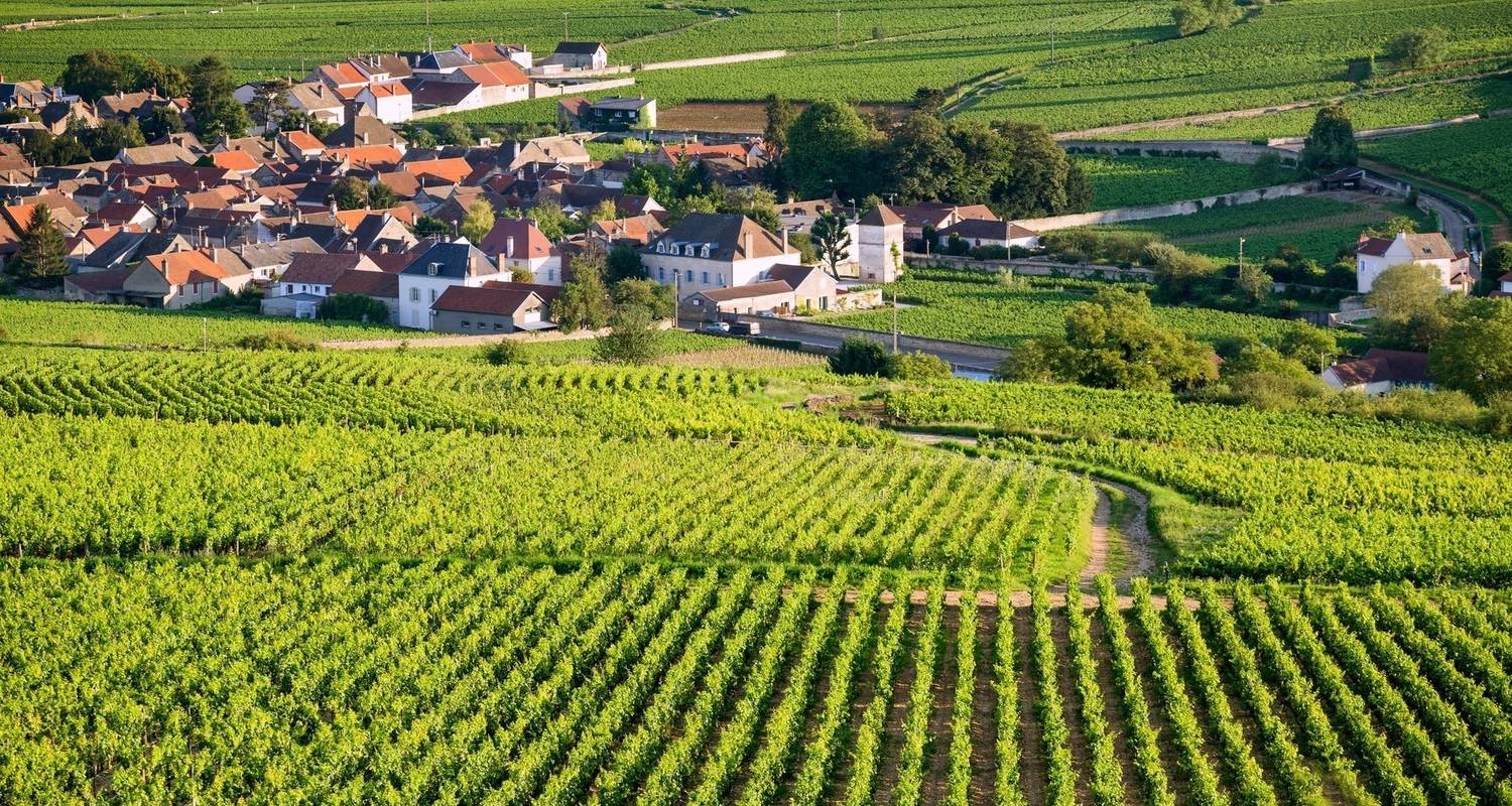 Alsace & Lorraine Tours & Trips