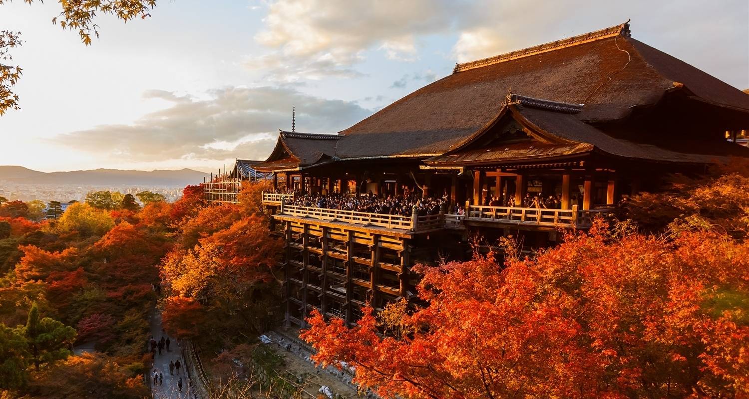 11 Days Enchanting Japan Maple Viewing Tour (private guide & driver） - UME Travel Co. Ltd