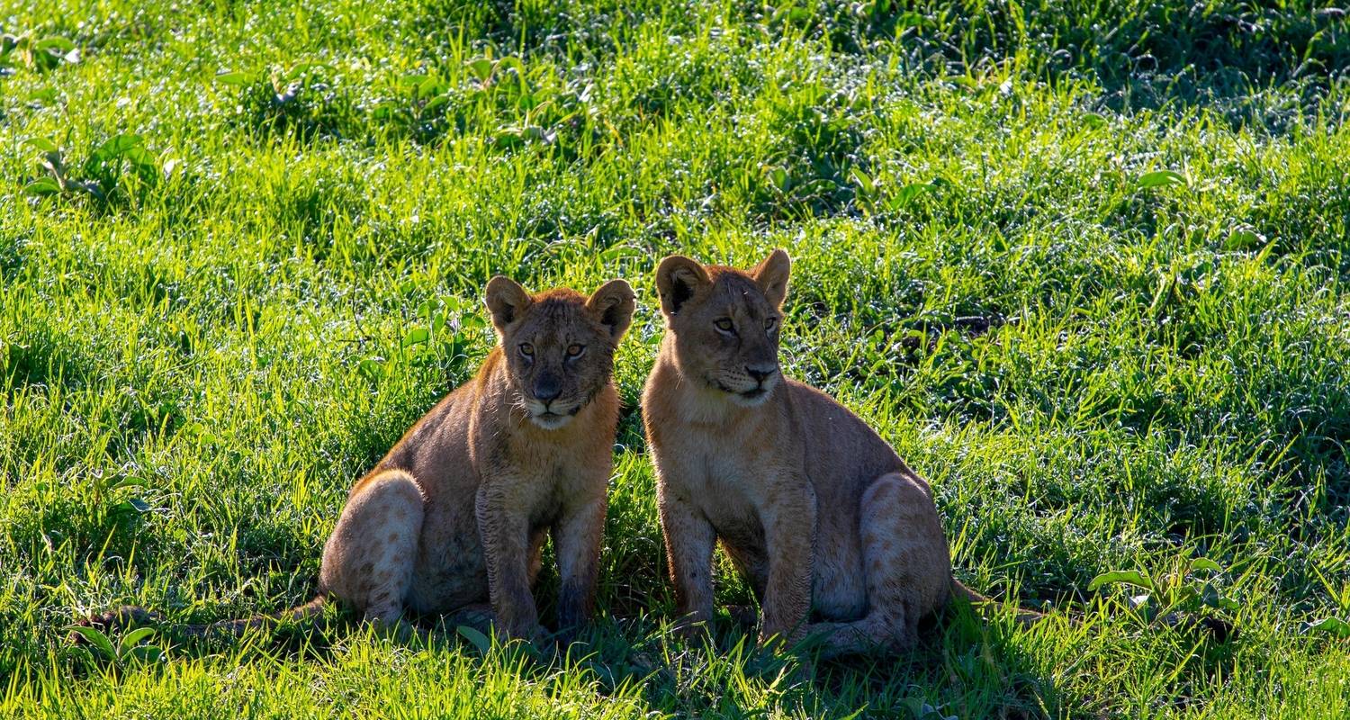 Jewels of Northern Tanzania: Tarangire, Manyara, and Lake Natron - Beach and Safari Holidays