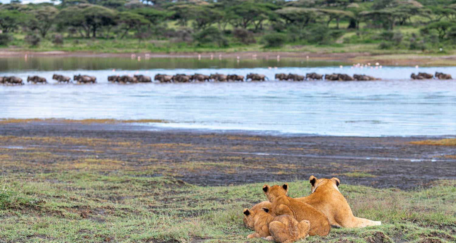 Tanzania by Road and from Above - Beach and Safari Holidays