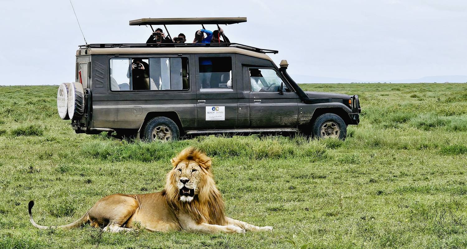 La experiencia definitiva en el Serengeti - Beach and Safari Holidays