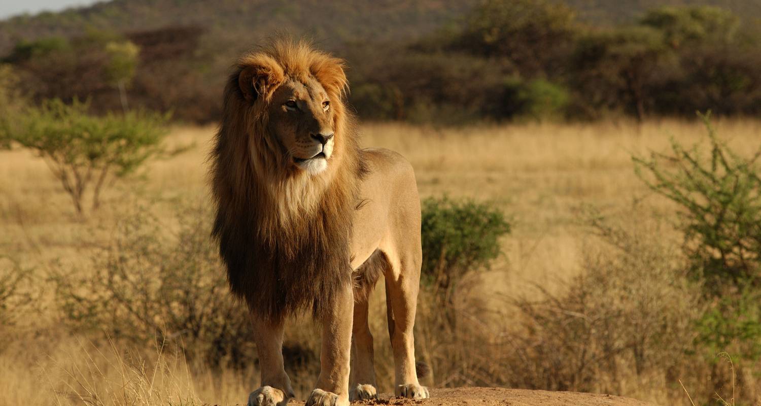 Voyage à travers les lacs, la savane et les cratères : Les icônes de la Tanzanie - Beach and Safari Holidays