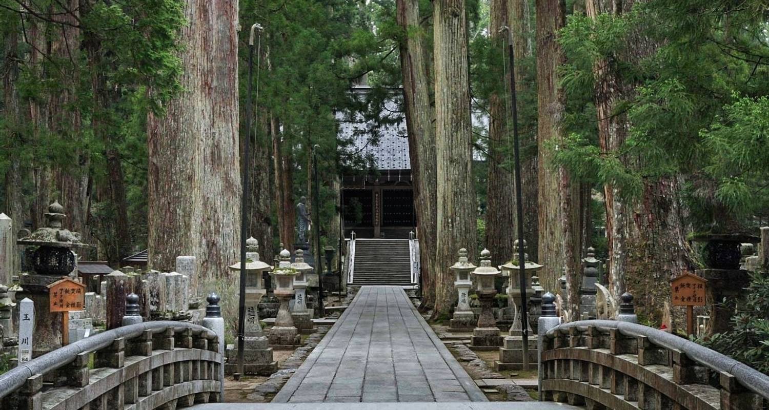 14 Days Japan Panoramic Historical Tour (private guide & driver） - UME Travel Co. Ltd