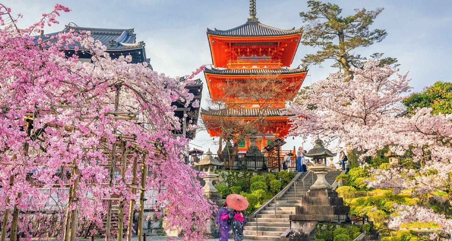 10 DaysJapan Cherry Blossom Family Tour with Teenager (private guide & driver） - UME Travel Co. Ltd