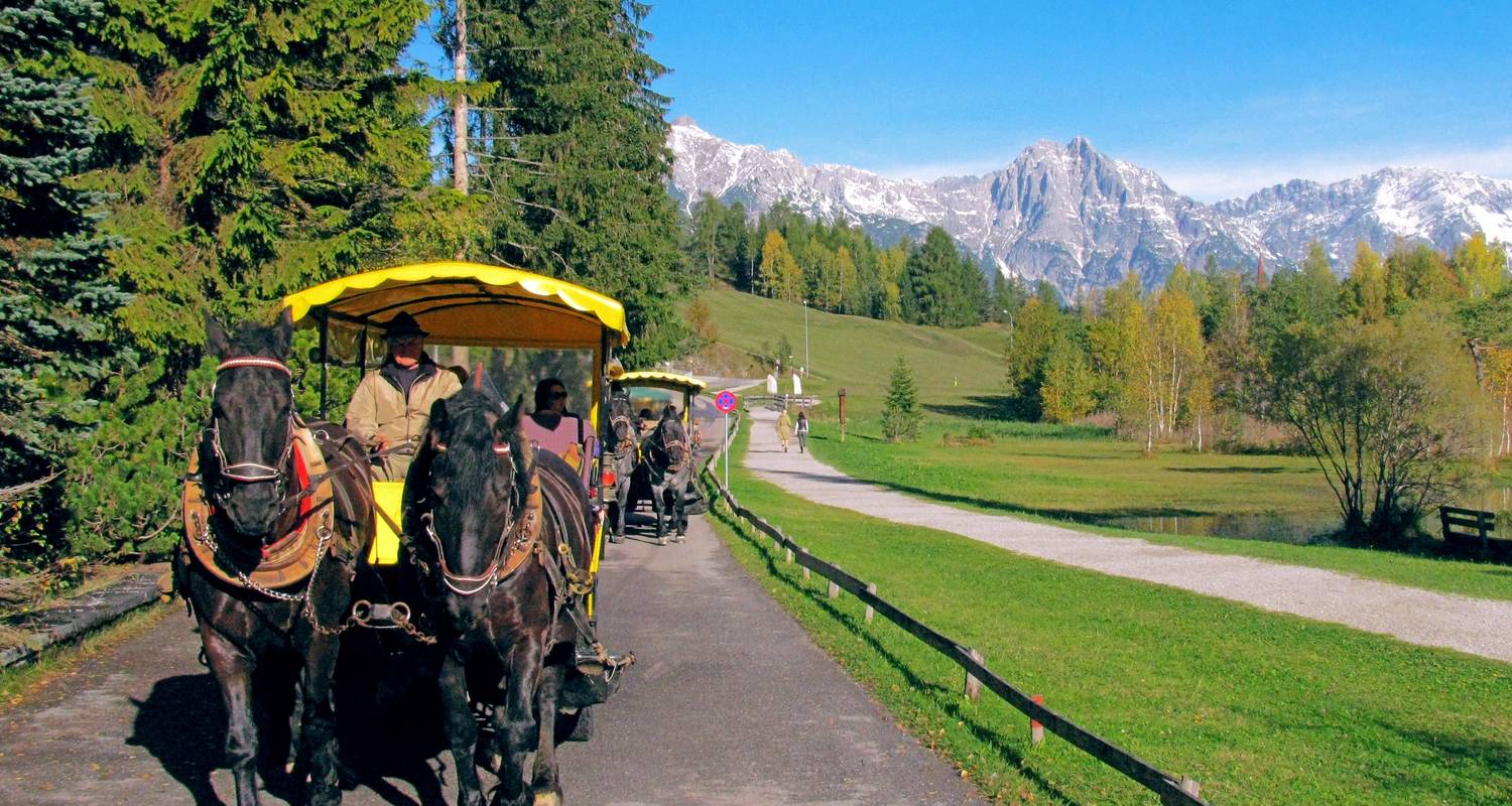 Les fabuleux marchés de Noël d'Autriche et d'Allemagne (d'Innsbruck à Munich) (2025) - Collette