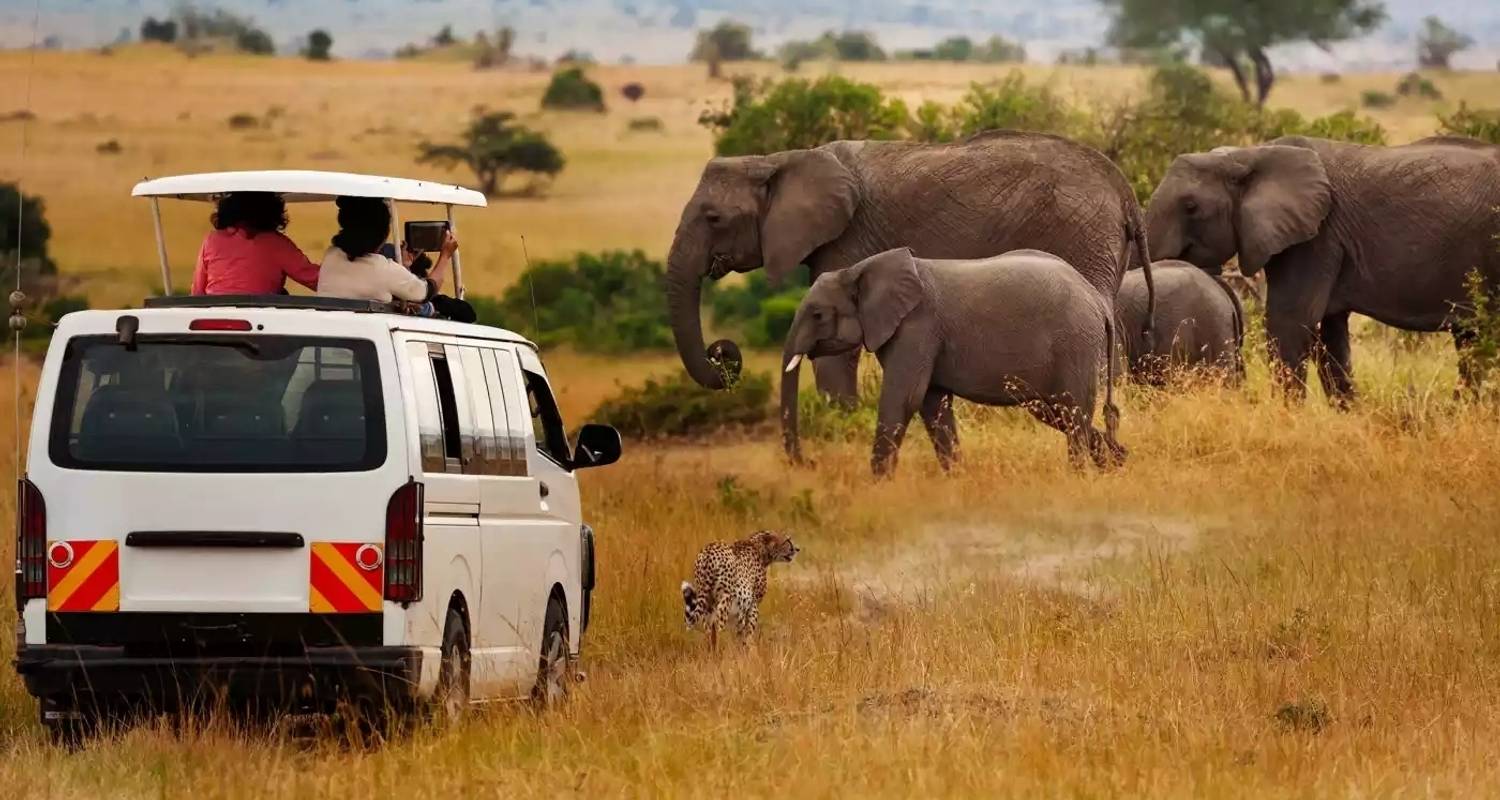 6 Días Masai Mara, Lago Nakuru y Amboseli |Safari en Grupo - Jollic Adventure Tour