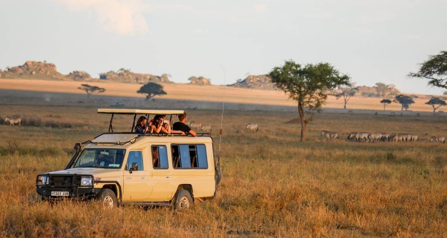 Safari de 2 días a Tarangire y Ngorongoro - Gracepatt Ecotours Kenya