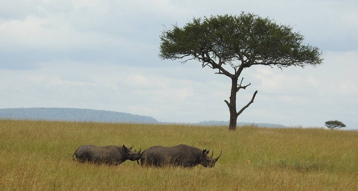 La majestueuse Tanzanie - 6 jours - Haut de gamme - Professional Safari Africa