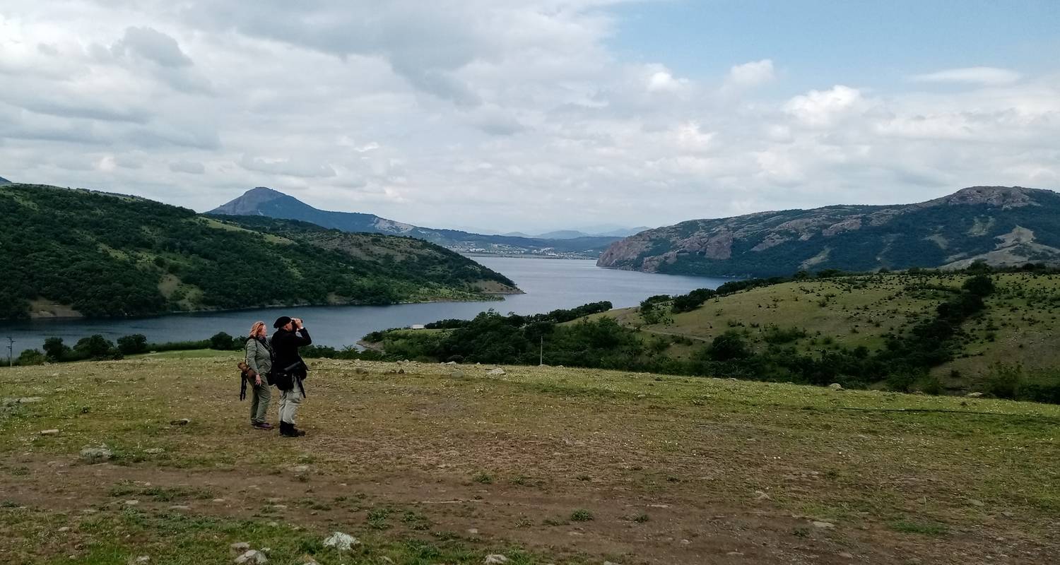 Spring Intensive Birdwatching Tour (Bulgaria)