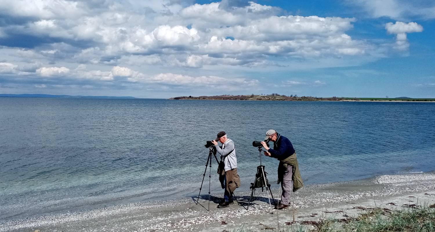 Circuito intensivo de primavera para observación de aves (Bulgaria) - Penguin Travel