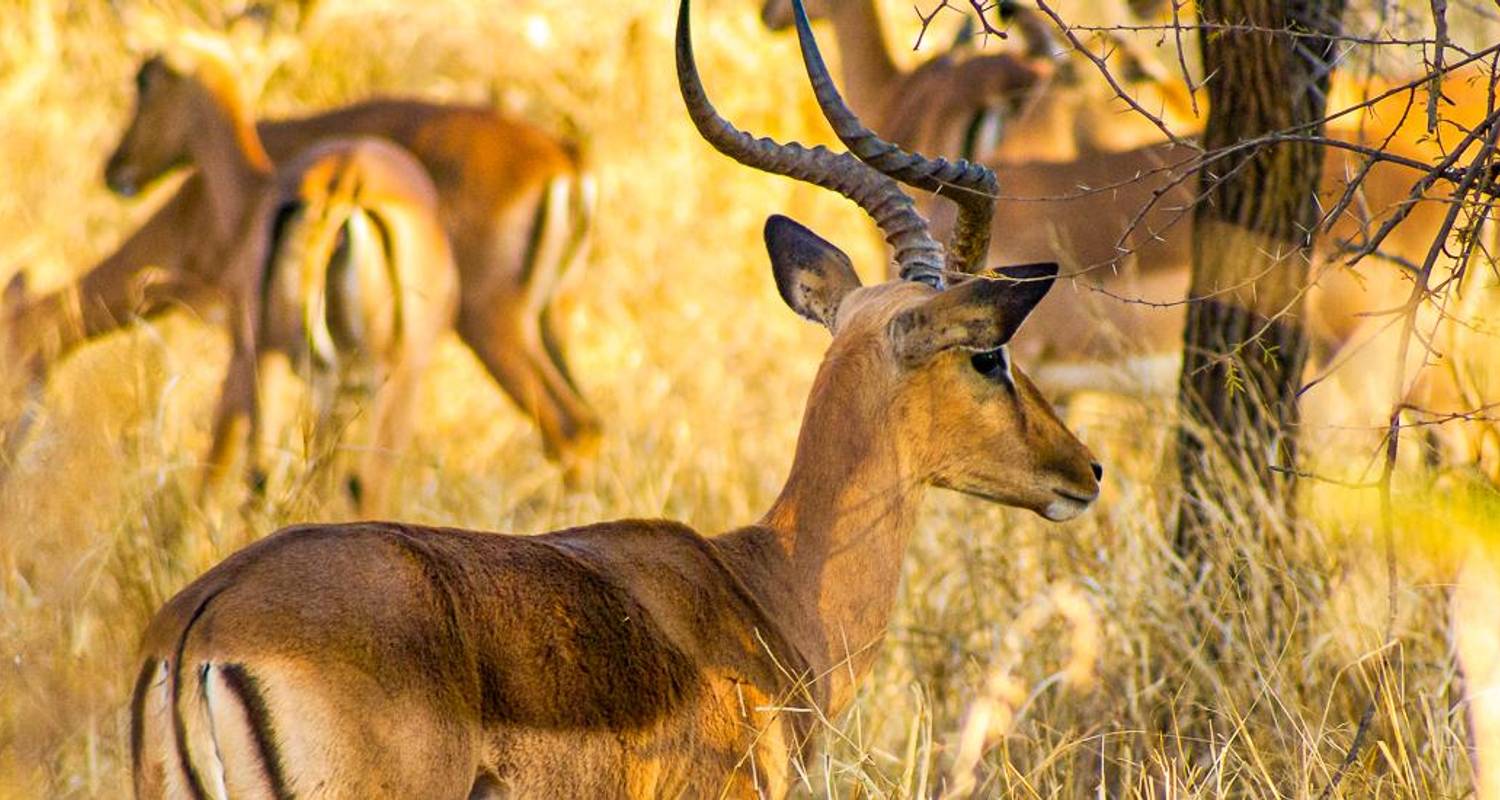 Ciudad, tierra, mar - Viaje de aventura de 15 días - Chamaeleon