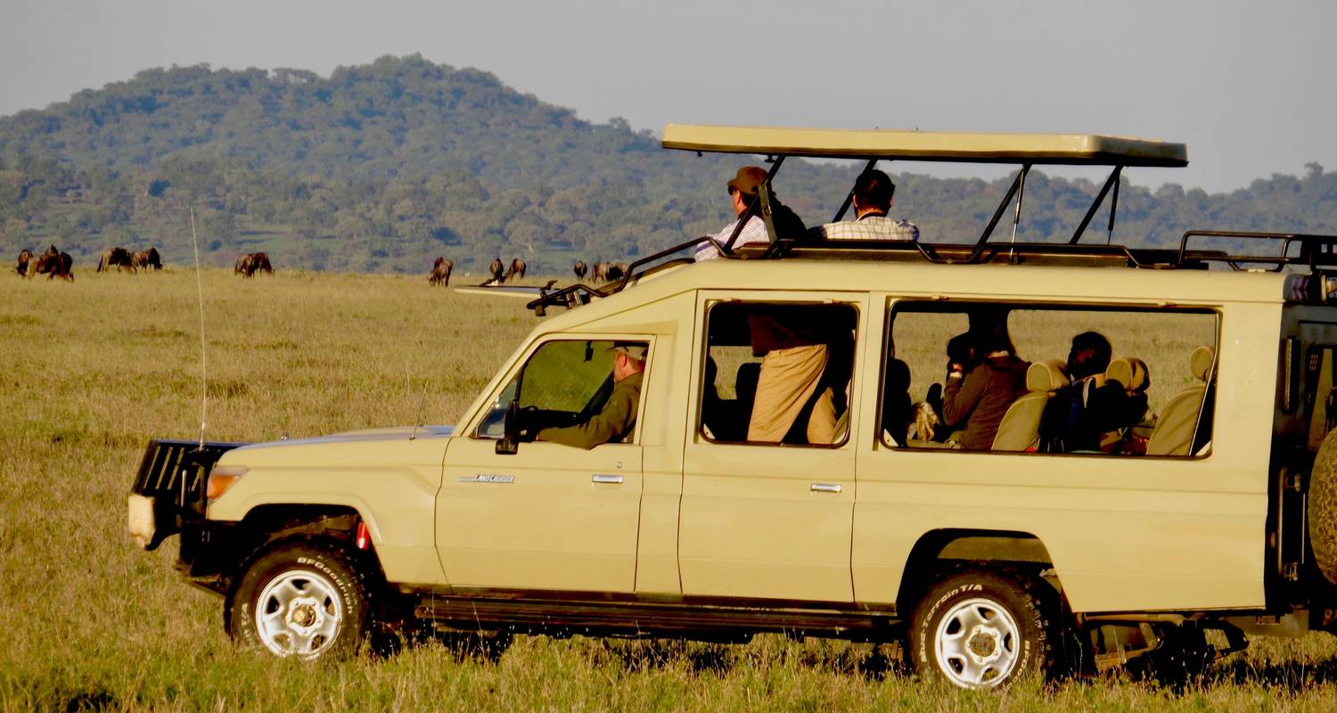 Tansania Safari 7 Tage - Professional Safari Africa