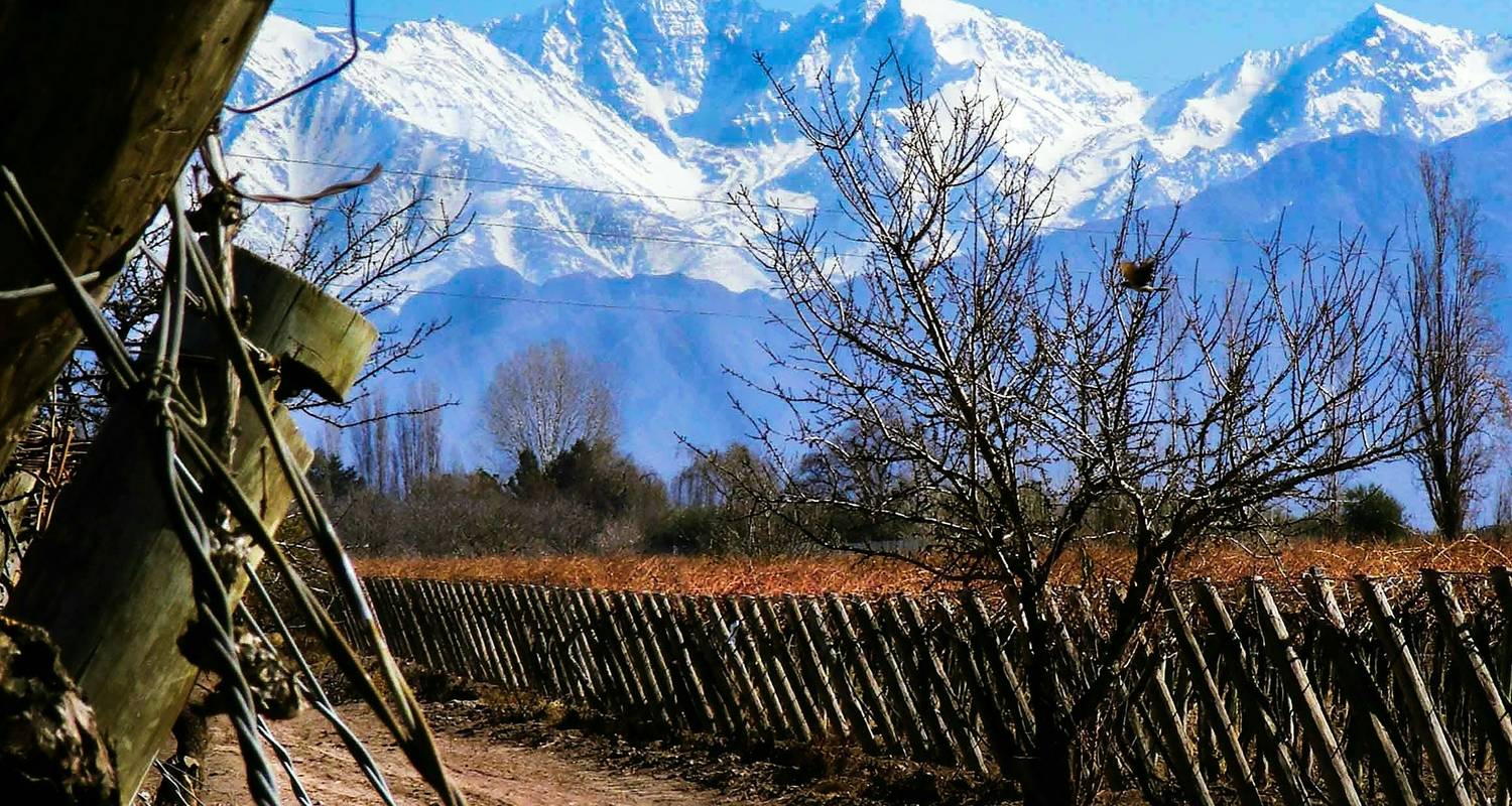 Trek & Climb: Cerro Montura (4,950m) & Mendoza Vineyards Tour - Unu Raymi Expeditions