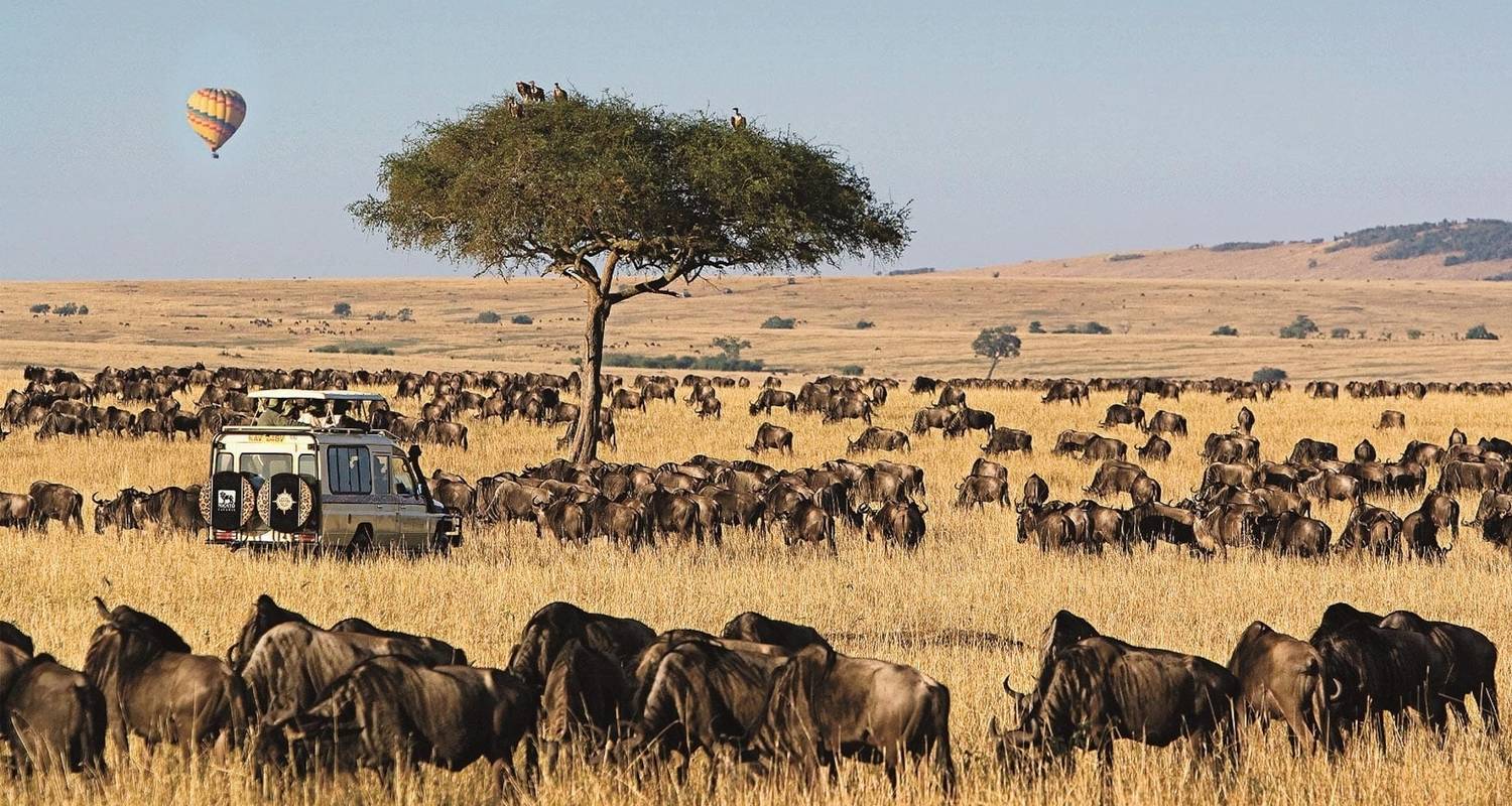 Forfait étudiant de 4 jours pour assister à la migration des gnous au Kenya - Gracepatt Ecotours Kenya