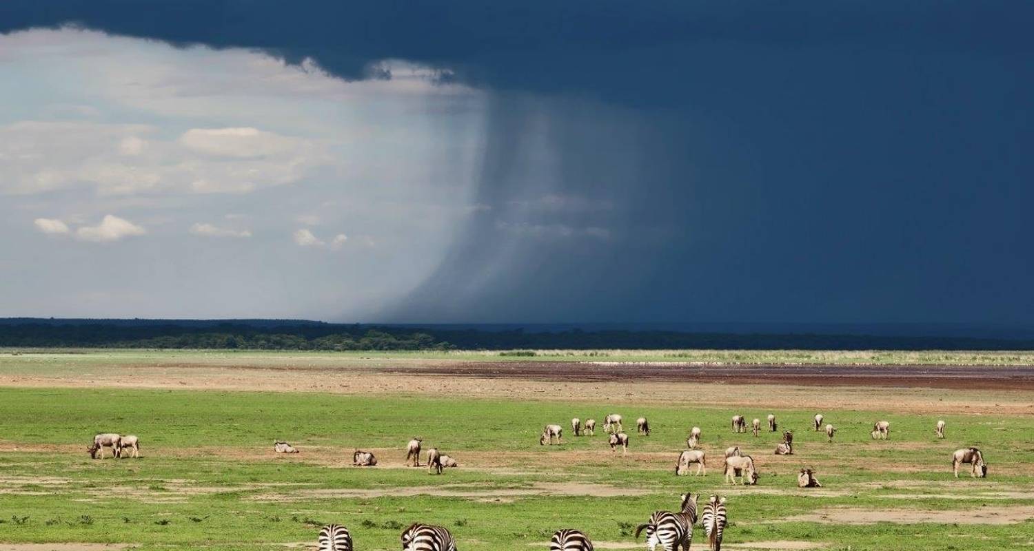 Les incontournables de la Tanzanie - Prime Safaris