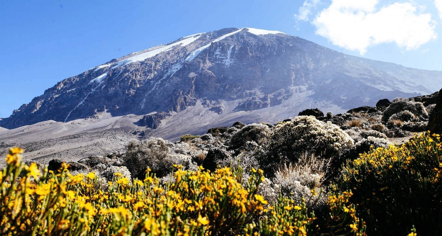 Climb Mt.Kilimanjaro (Lemosho Route) 8 Days - Expeditions Gateways