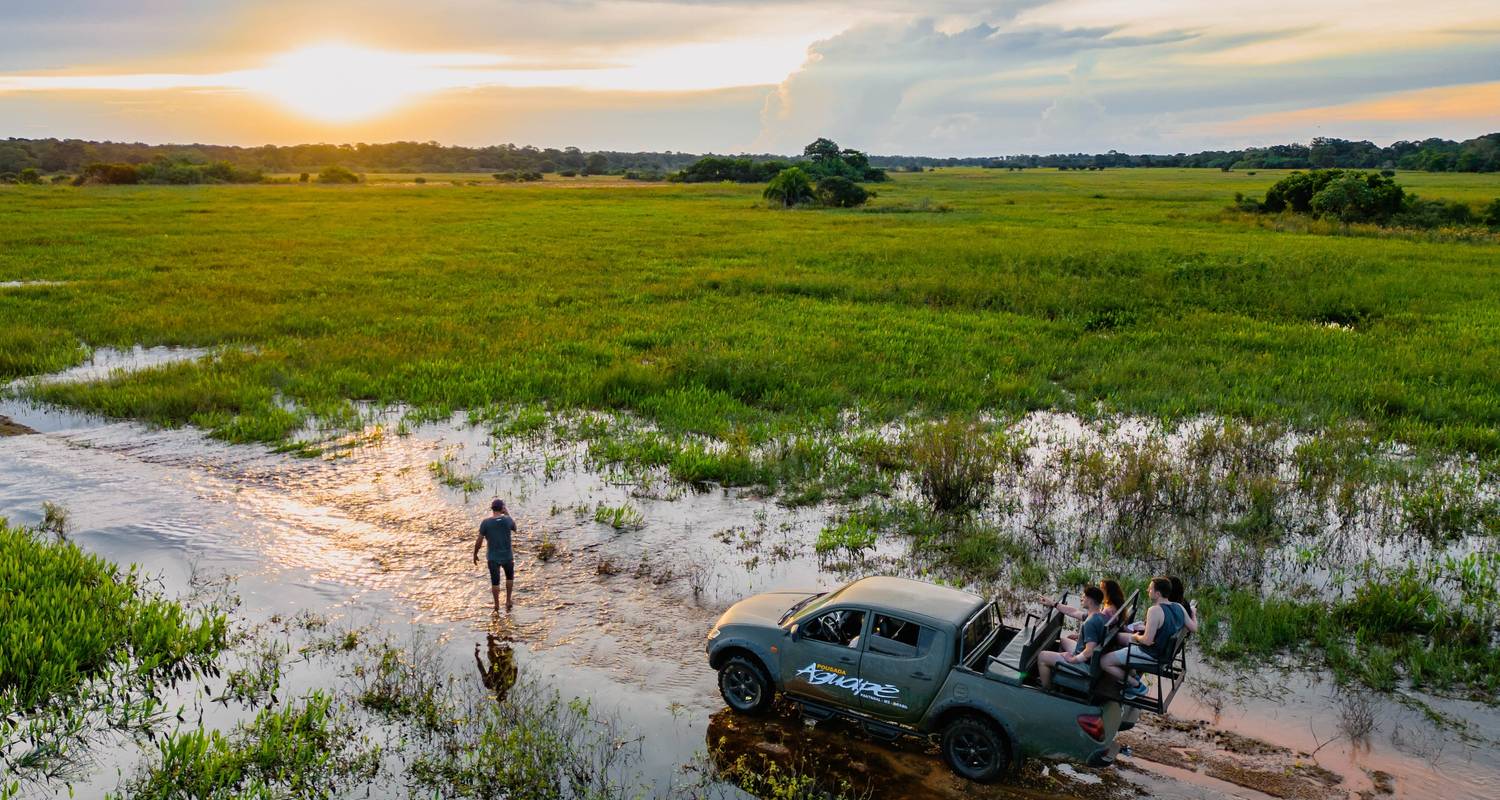 Northern Pantanal & Jaguar Safari with optional stay in Porto Jofre