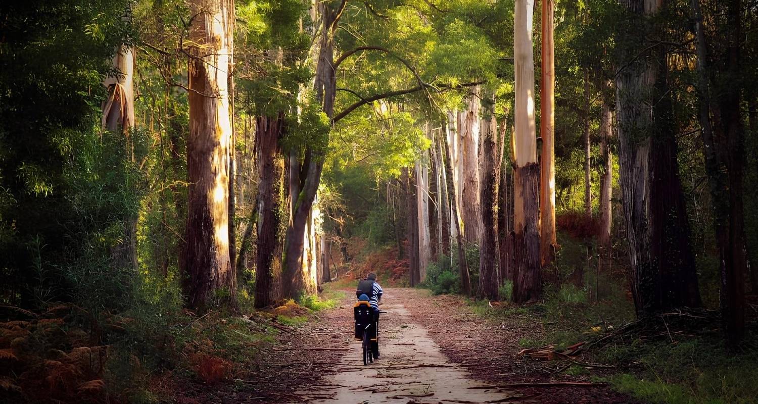 Fietstocht van Porto naar Lissabon met gids - Authentic Trails