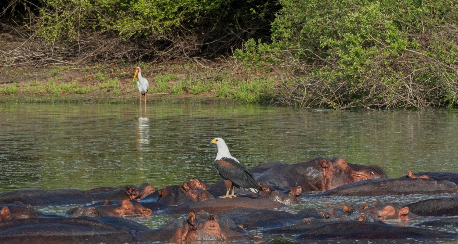 5 Days - The Vast Selous – Train Journey - Gecko Adventure