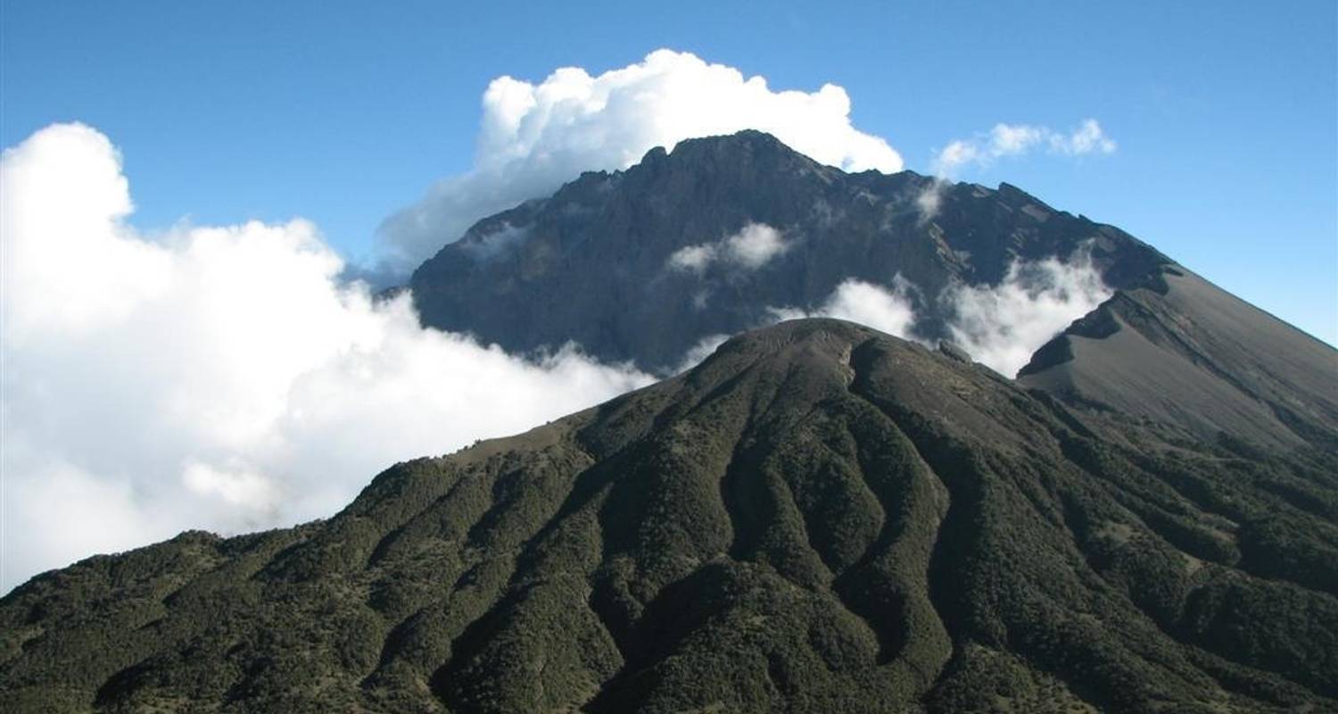 TREKKING AVENTURE AU MONT MERU - Tai Adventures & Safaris