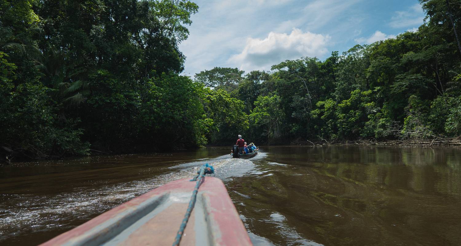 08 Days Adventure in Cuyabeno: Amazon Wildlife and Nature Tour - Ecuador Galapagos Travels