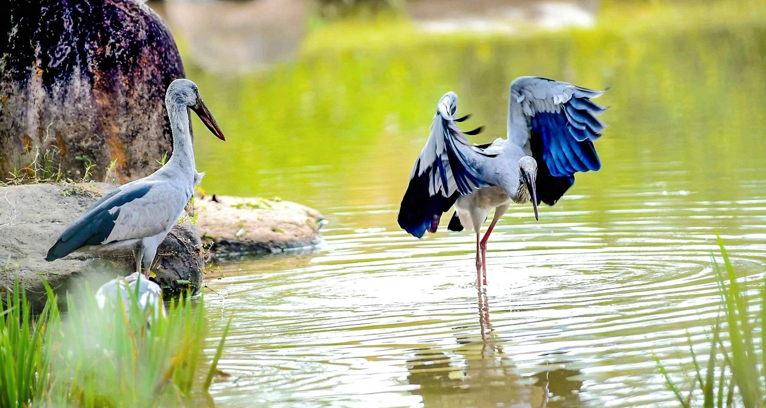 5 Days Tailor-Made Bangladesh Wildlife Tour, Excluisve Guide and Driver