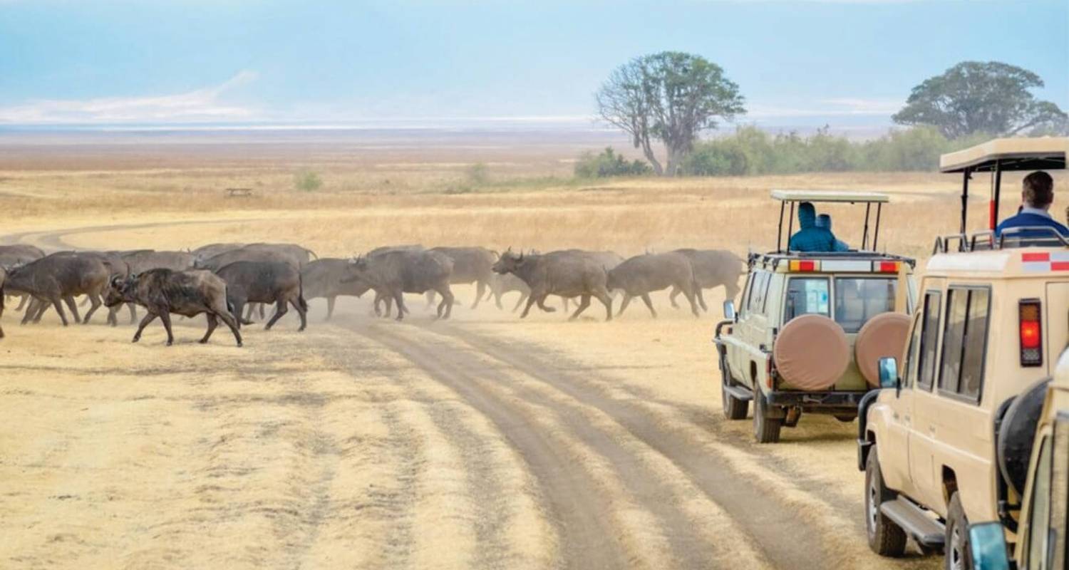 Camping Safari in Kenya