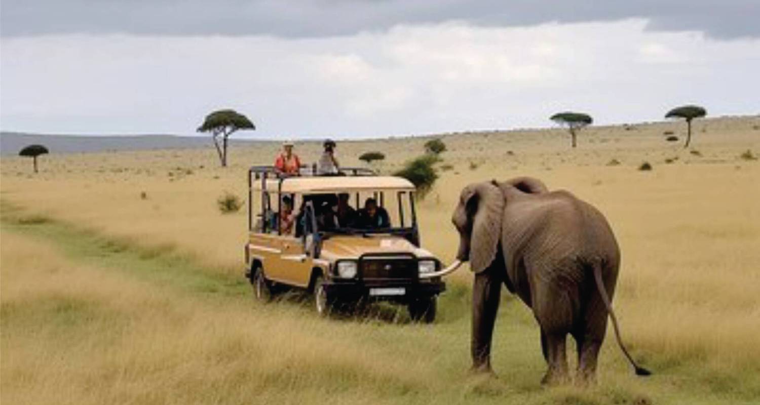 Erschwingliche 7-tägige Kenia Budget-Luxus-Abenteuer-Safari - (mit einem kostenlosen Wildtier-Führer) - Bonvoyage Kenya Safaris