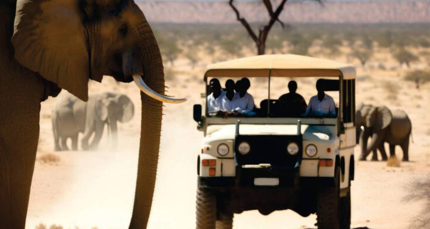 7-tägige Kenia Budget Gruppen-Safaris (in einem geteilten, preiswerten 4x4 Jeep) - Bonvoyage Kenya Safaris