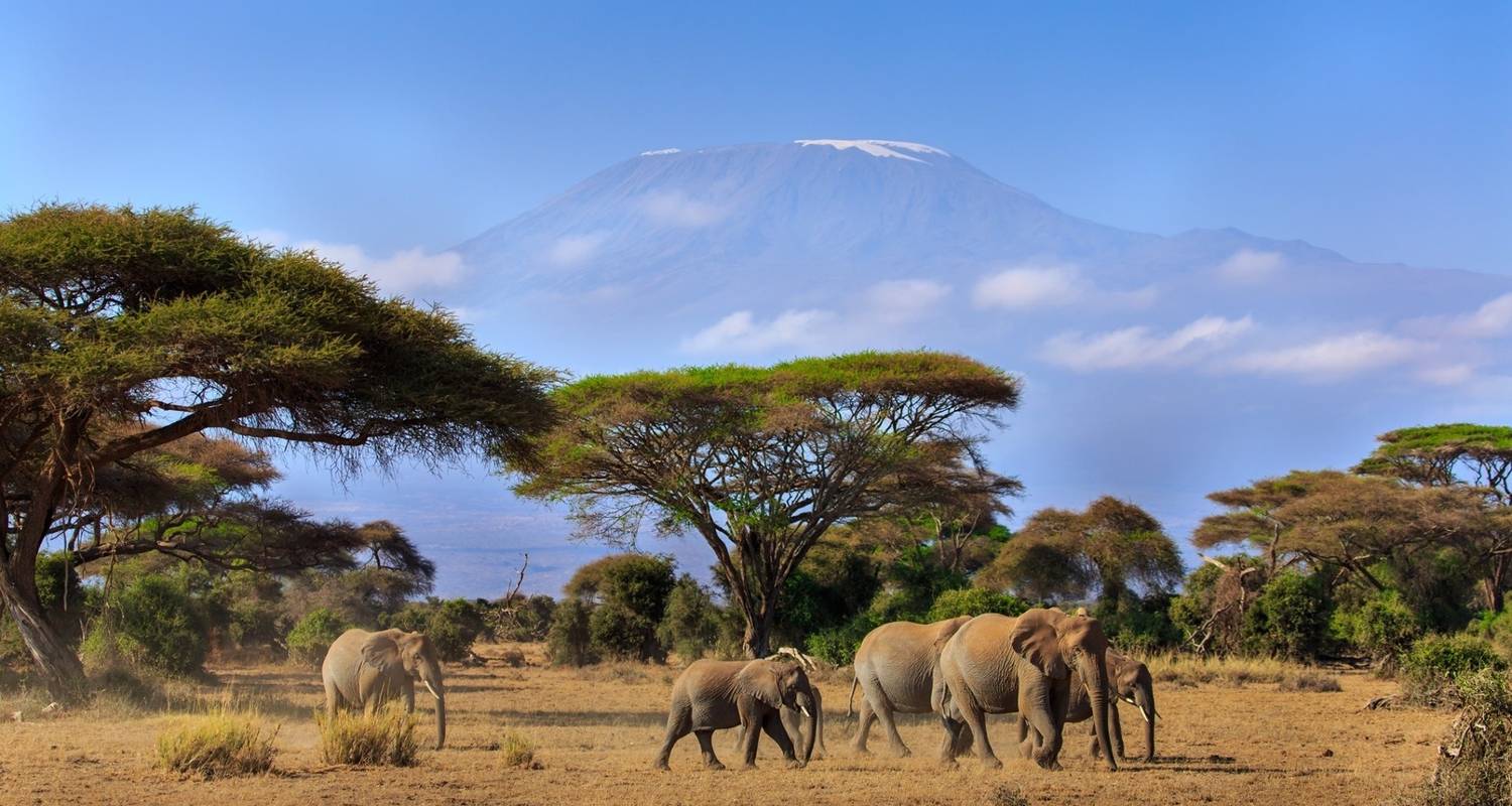 Amboseli, Nakuru, Masai Mara, Serengeti & Ngorongoro 9 Tage - Gracepatt Ecotours Kenya