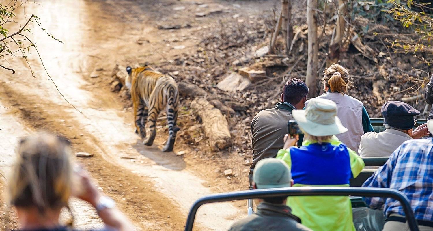 6 Days Customized Private Bangladesh Sundarbans Safari Tour