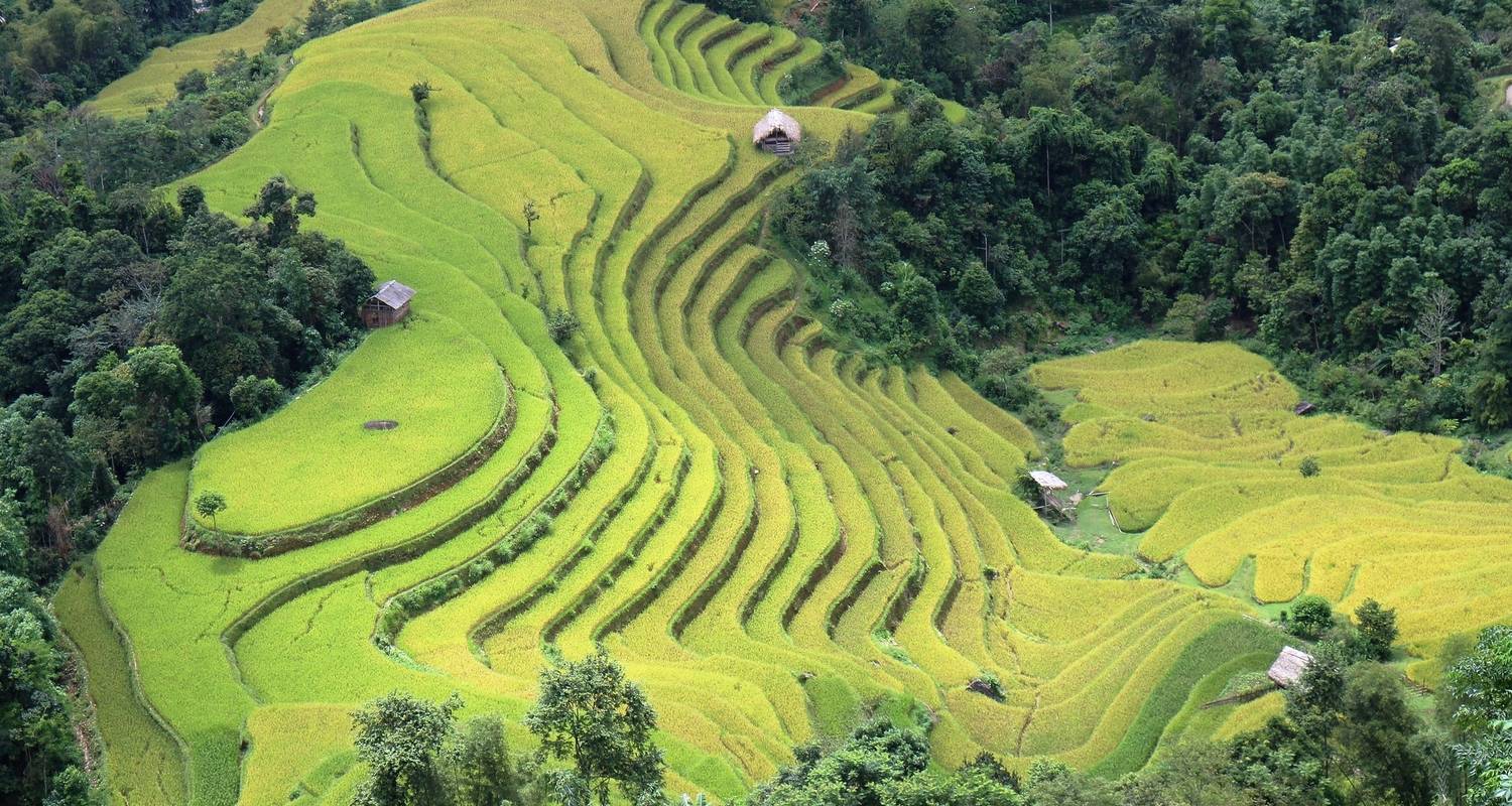 SENTIERS DES CHAMPS EN TERRASSE - Custom Vietnam Travel