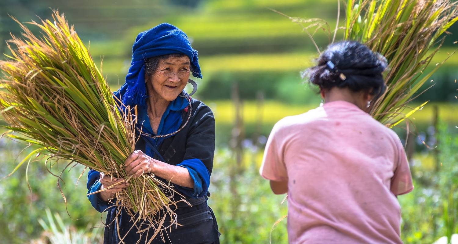 MU CANG CHAI ET BAIE D'HALONG - Custom Vietnam Travel