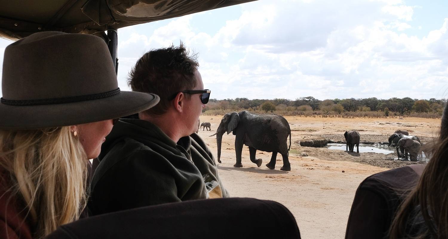 Botswana Wildlife Breakaway - Colibri Travel