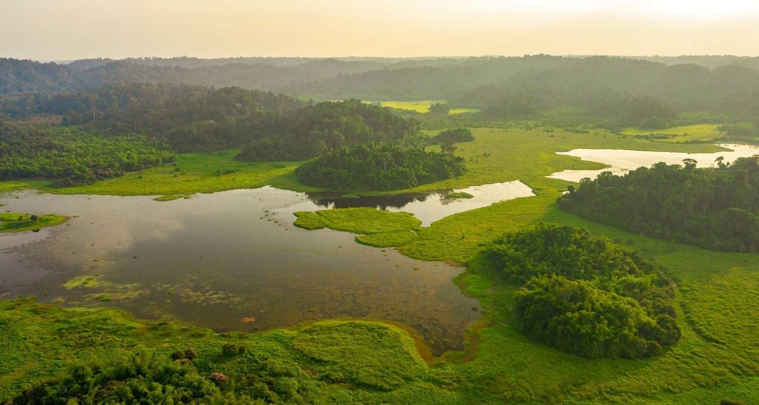 3 Tage/2 Nächte in Nam Cat Tien - Ökologische Pfade - Nachtsafari - Gibbon-Trekking - Krokodilsee - Bootstour - Ideal Travel Asia