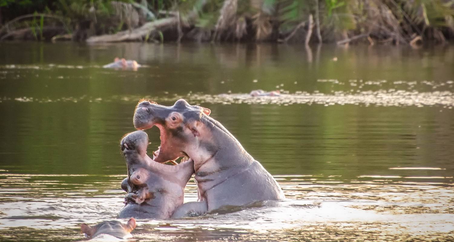 Personalized Tours & Trips in Queen Elizabeth National Park