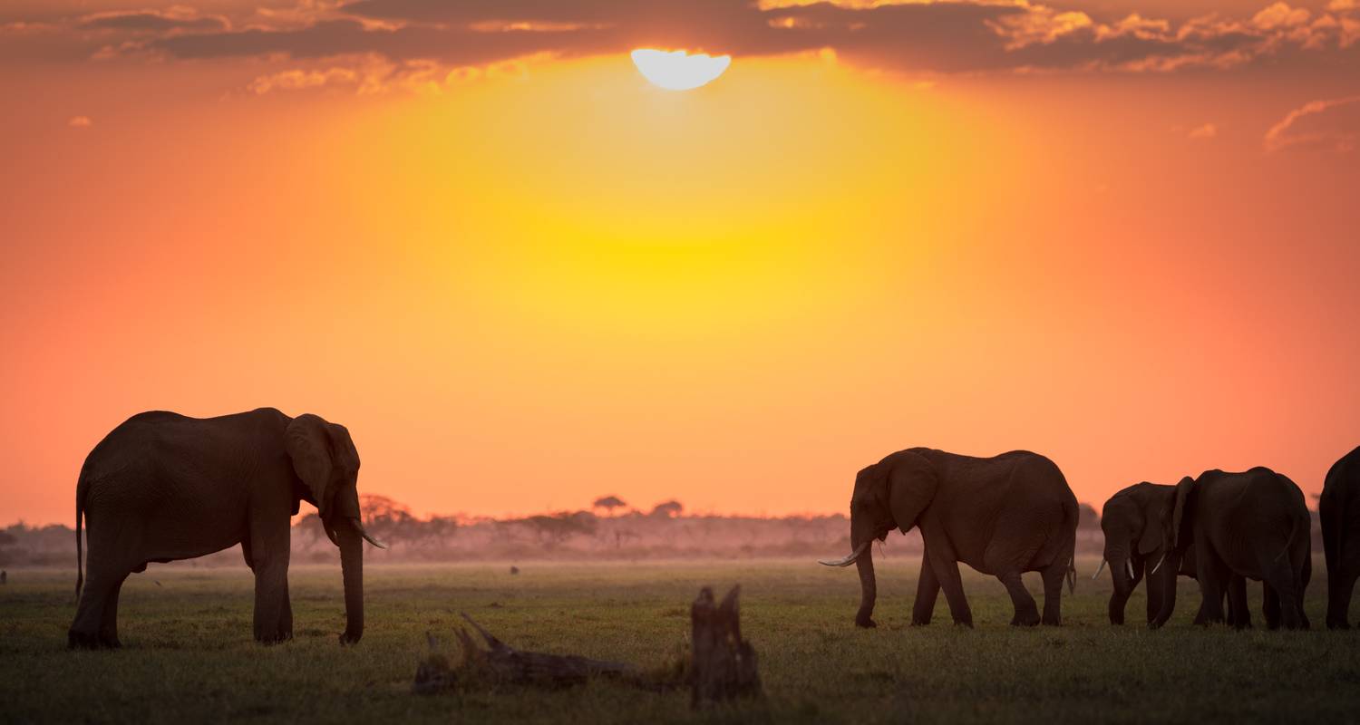 Botswana: Chobe National Park group safari - Klueger Reisen