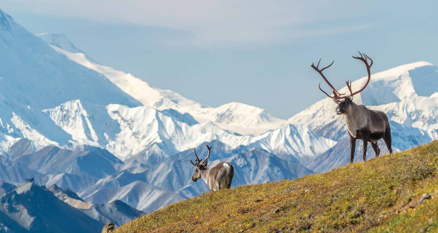 Naturwunder der Rocky Mountains und Alaska von Victoria nach Anchorage - APT