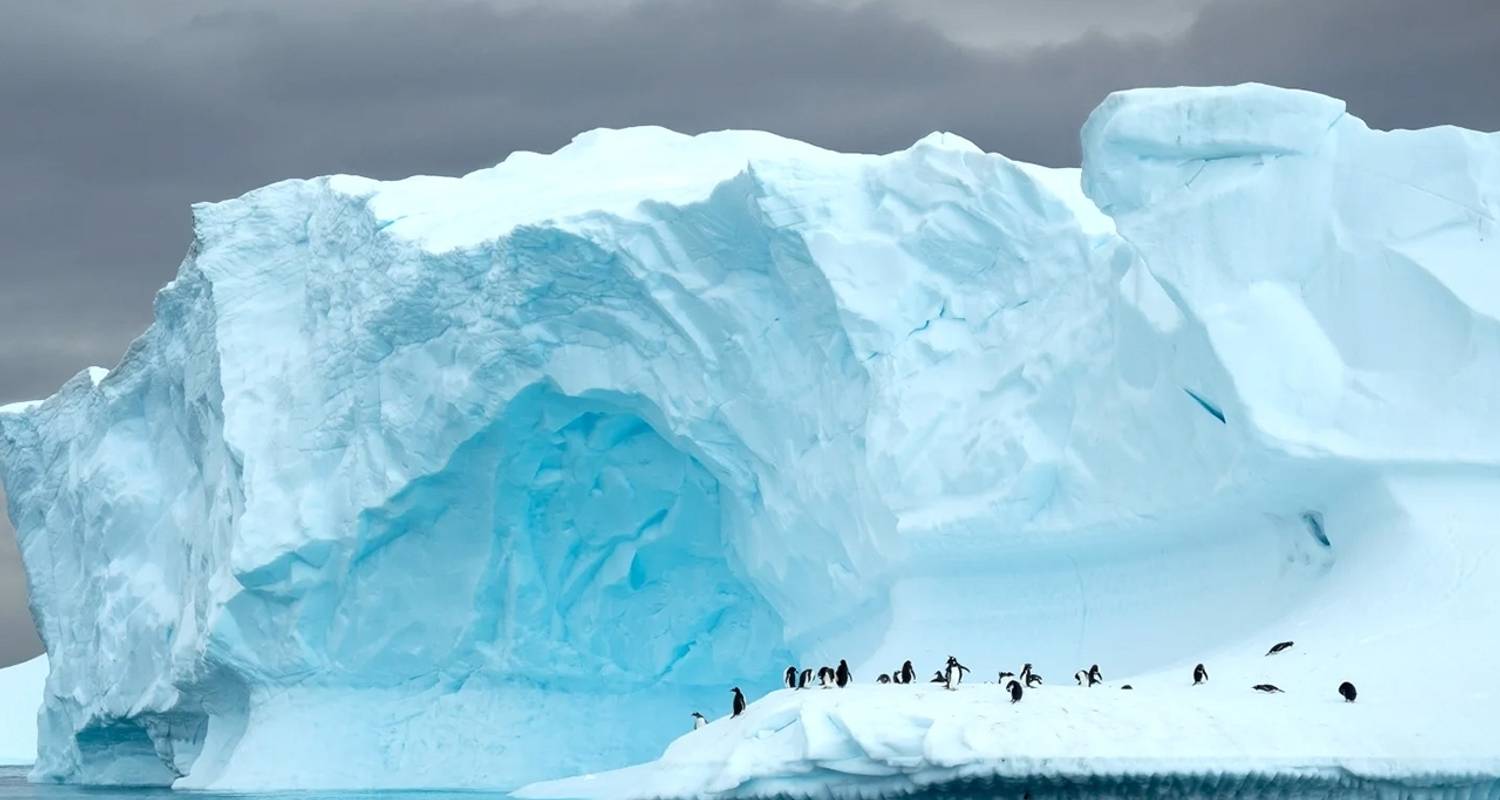 【Antarctica】Hurtigruten Expediciones Crucero de Buenos Aires a las Cataratas del Iguazú Paquete turístico de 17 días - Delightful Travel