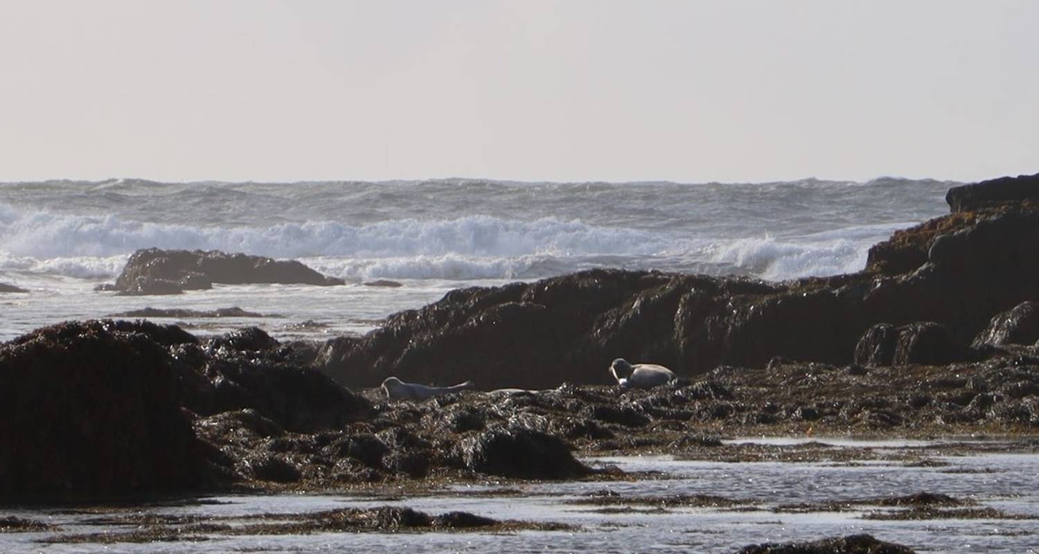 10 Days Private Iceland Ring Road In-depth Tour (Summer)