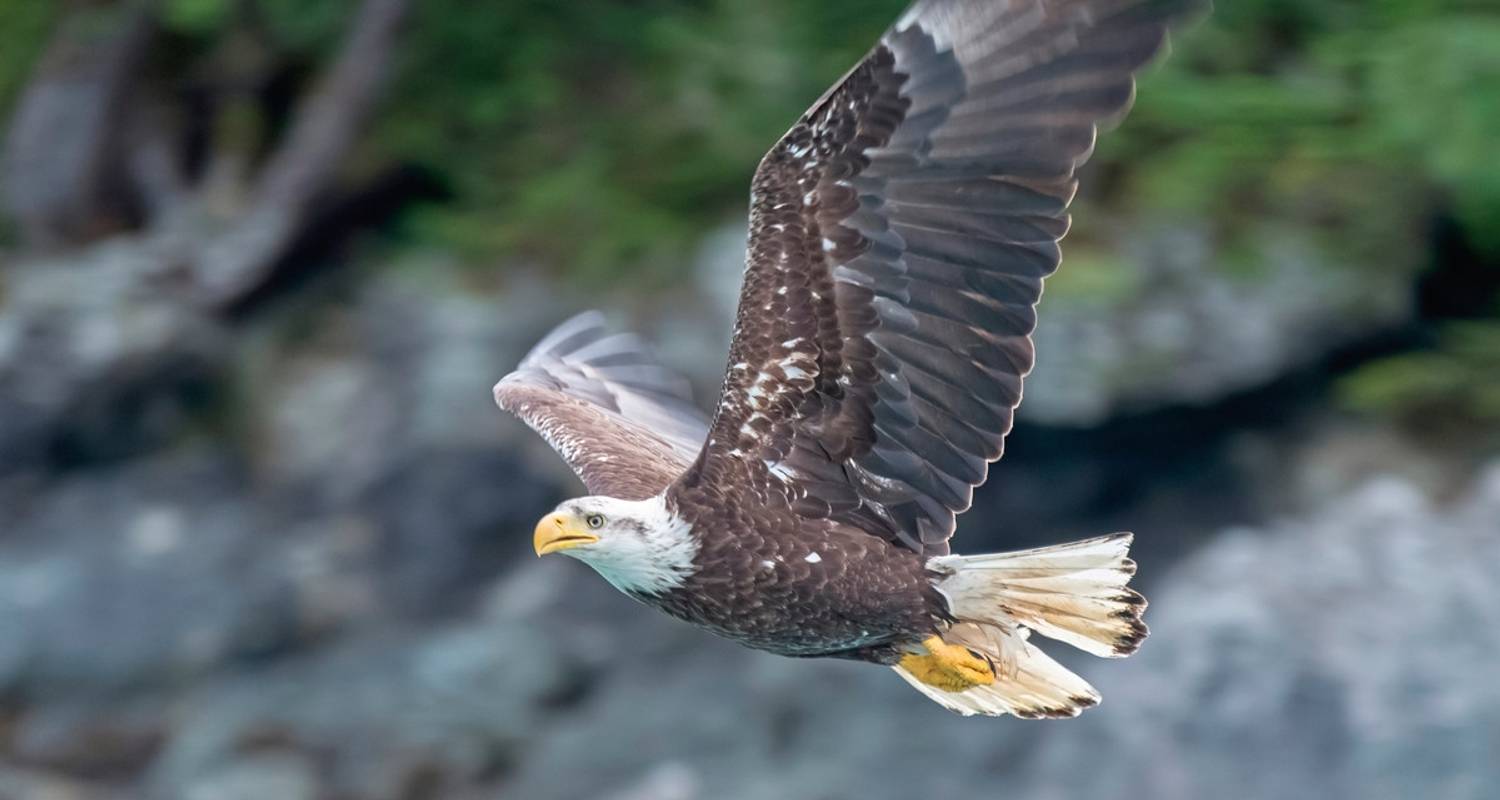 Coastal Walks in Canada and USA