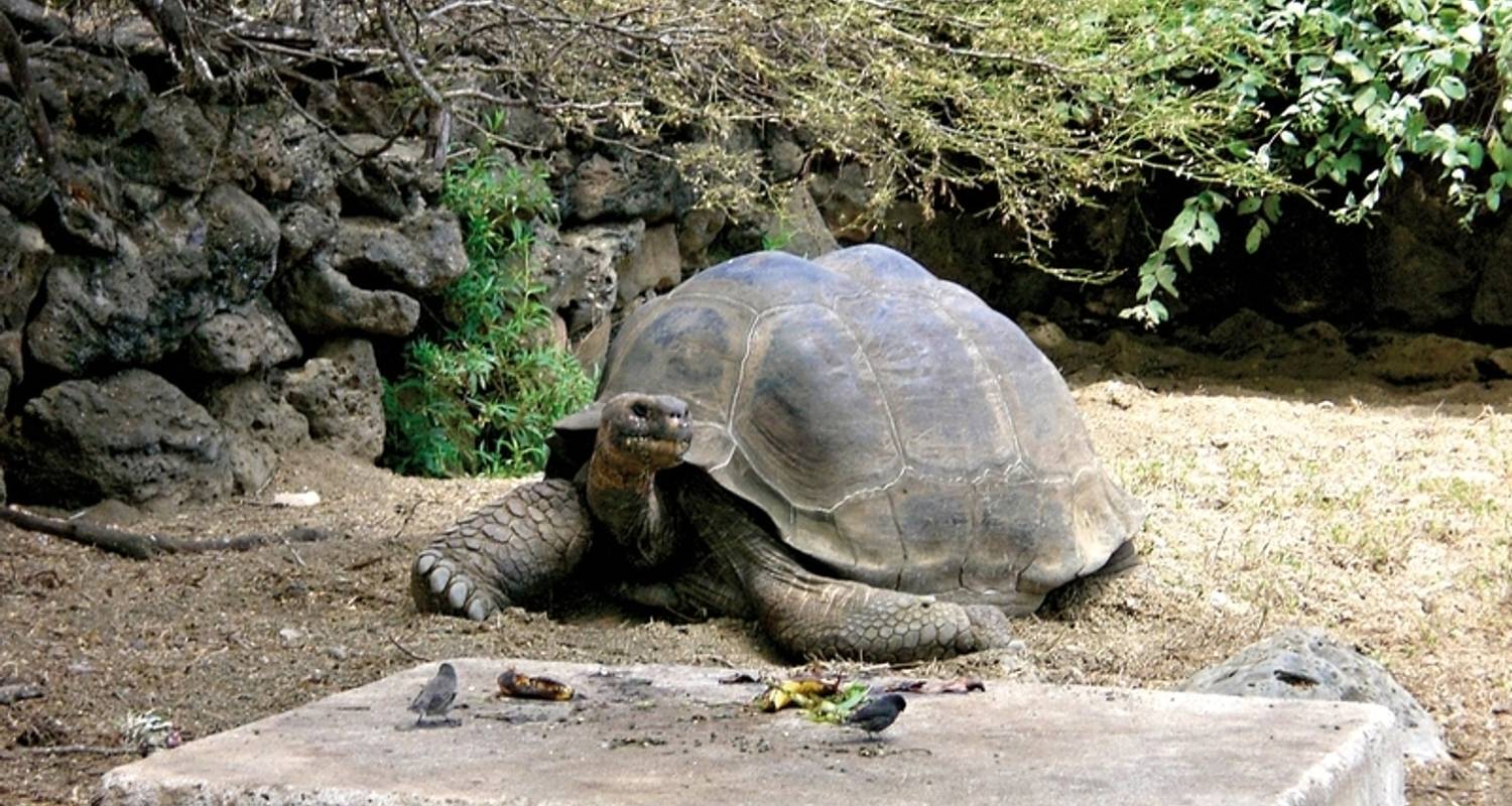 Eilandhoppen op de Galapagos - DERTOUR