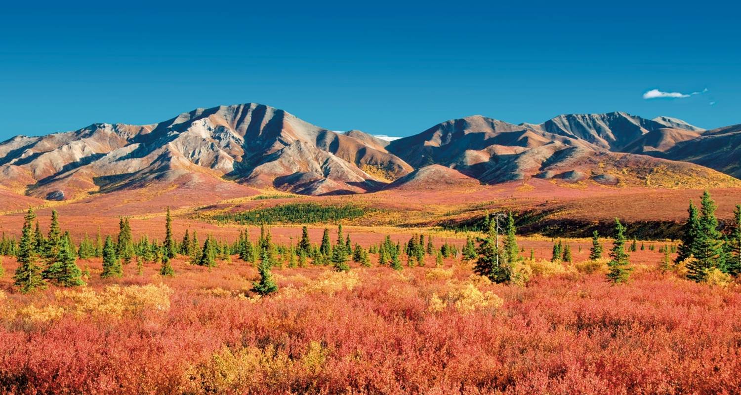 Sur la route de l'Alaska - DERTOUR