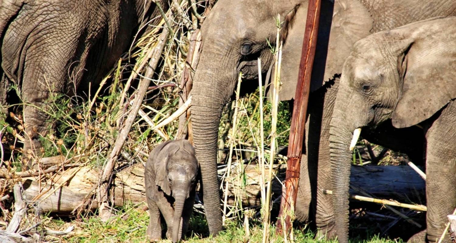 Johannesburgo a Montaña de la Mesa Viajes