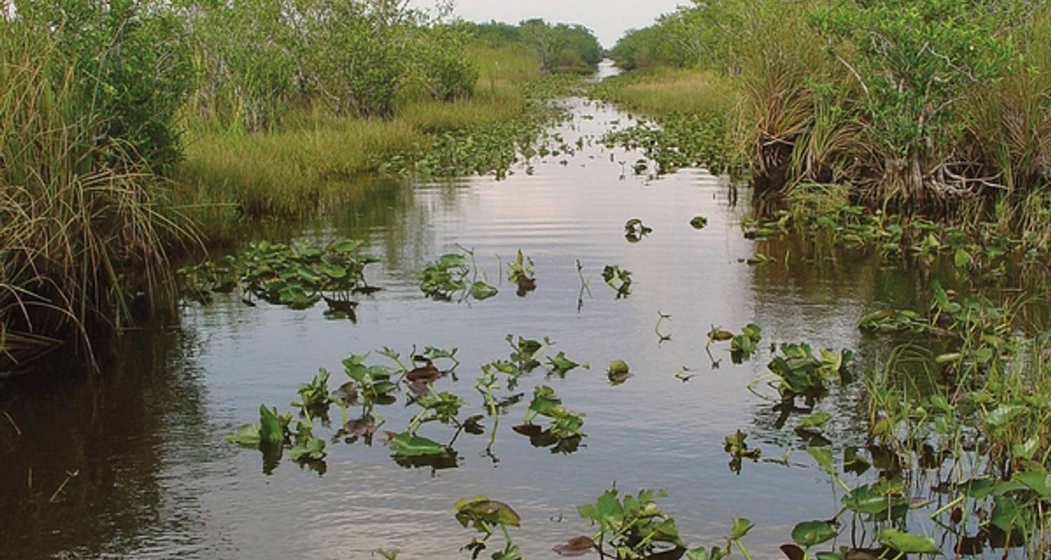 Circuits Floride en Novembre 2025