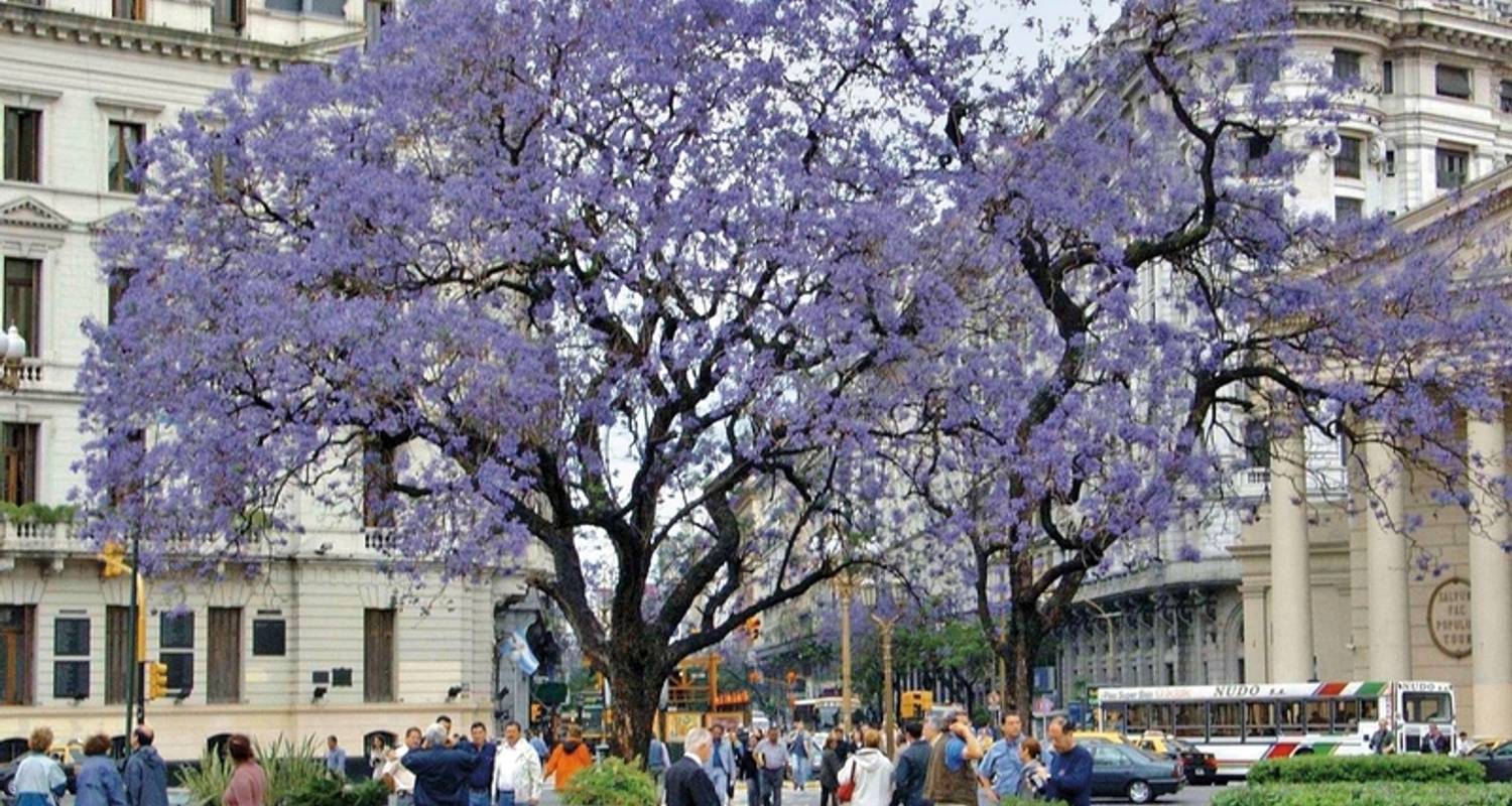 Argentinien Rundreise im Dezember 2025